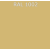 RAL 1002