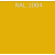 RAL 1004