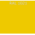 RAL 1021