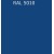 RAL 5010