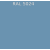 RAL 5024