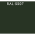 RAL 6007