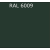 RAL 6009