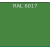 RAL 6017
