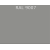 RAL 9007 