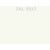 RAL 9010